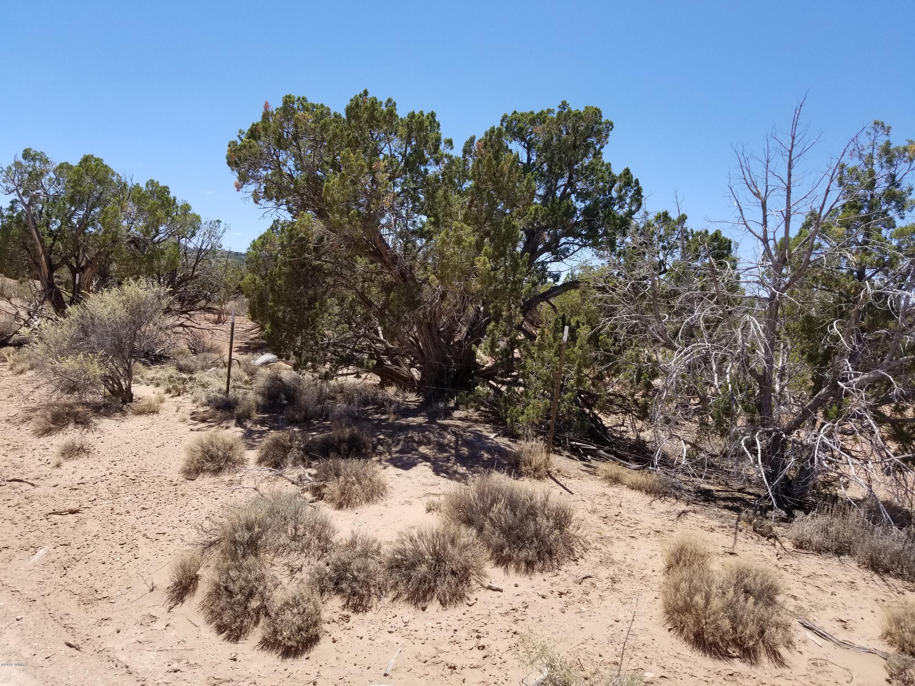 4135-4139 Juniper Road Snowflake, AZ 85937 - Photo 11 of 12