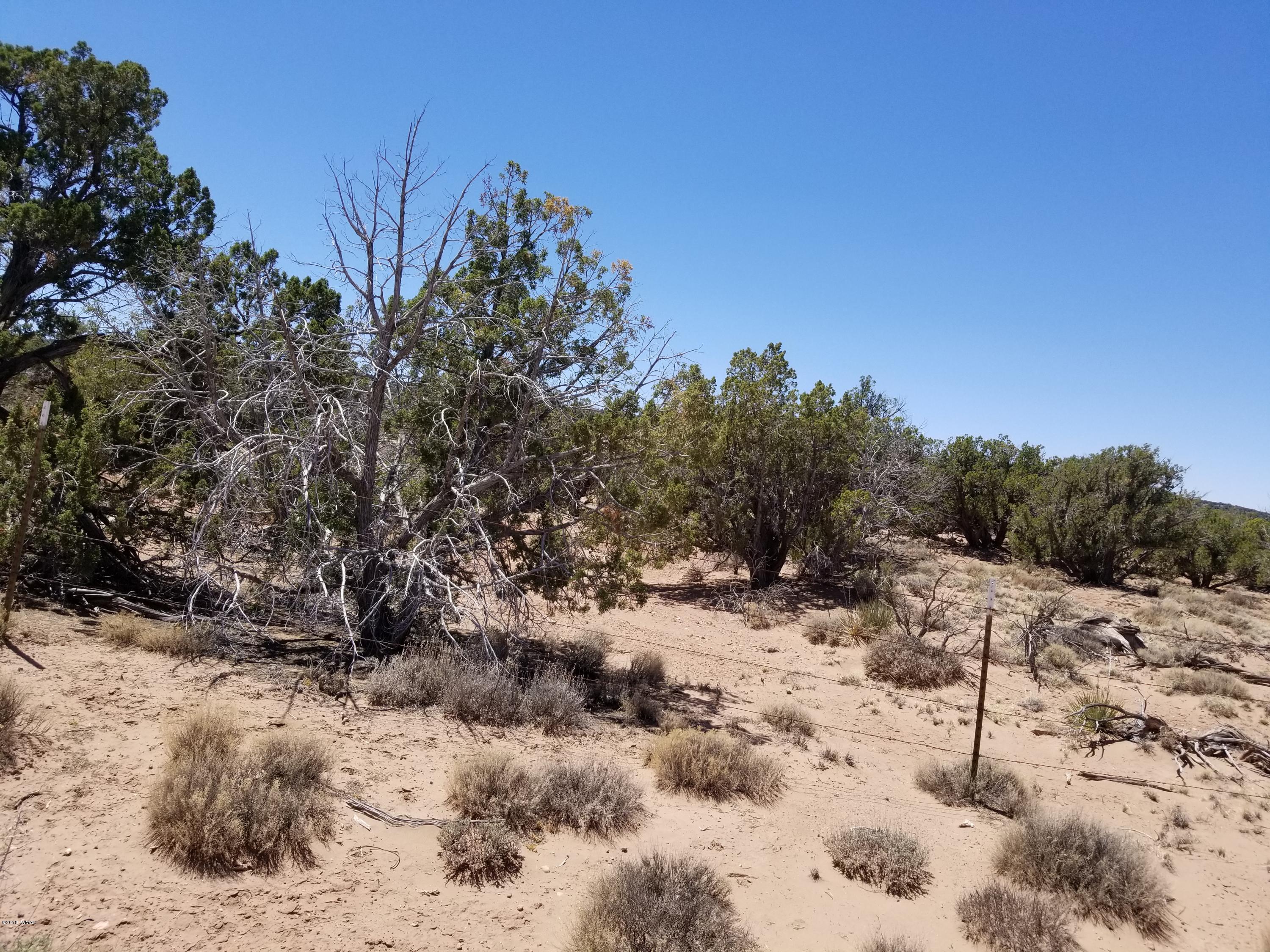 4135-4139 Juniper Road Snowflake, AZ 85937 - Photo 12 of 12