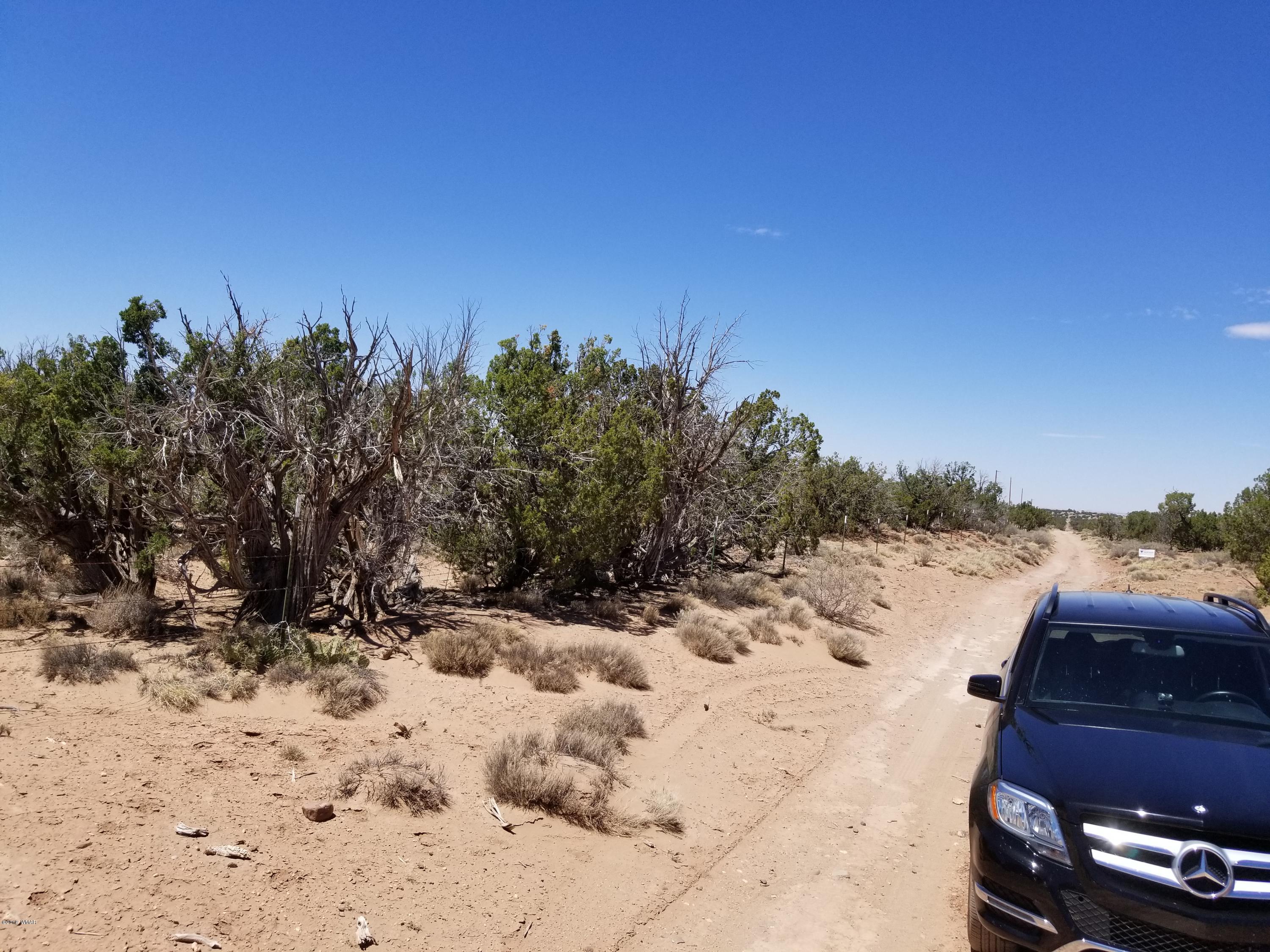 4135-4139 Juniper Road Snowflake, AZ 85937 - Photo 2 of 12