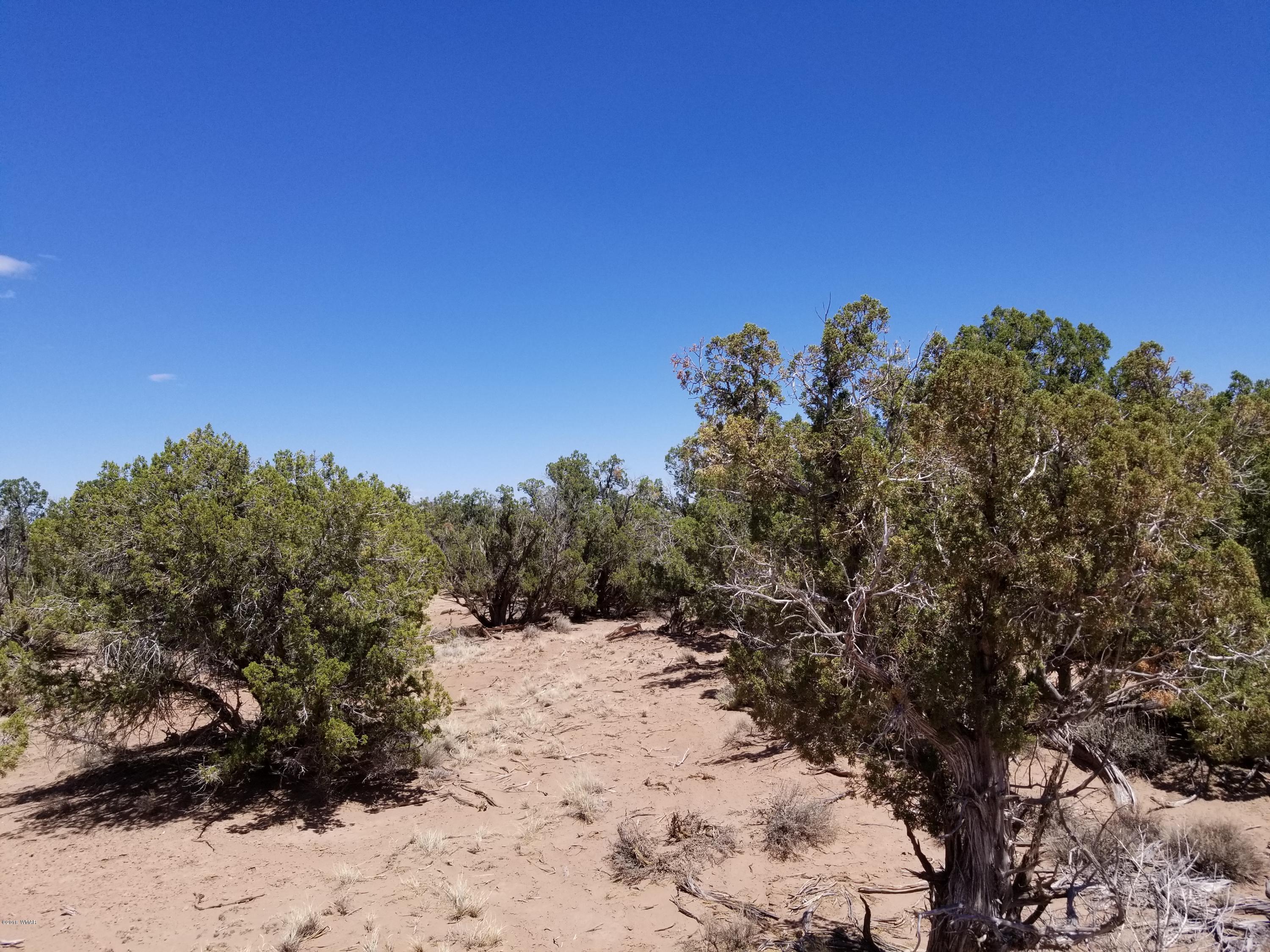 4135-4139 Juniper Road Snowflake, AZ 85937 - Photo 4 of 12