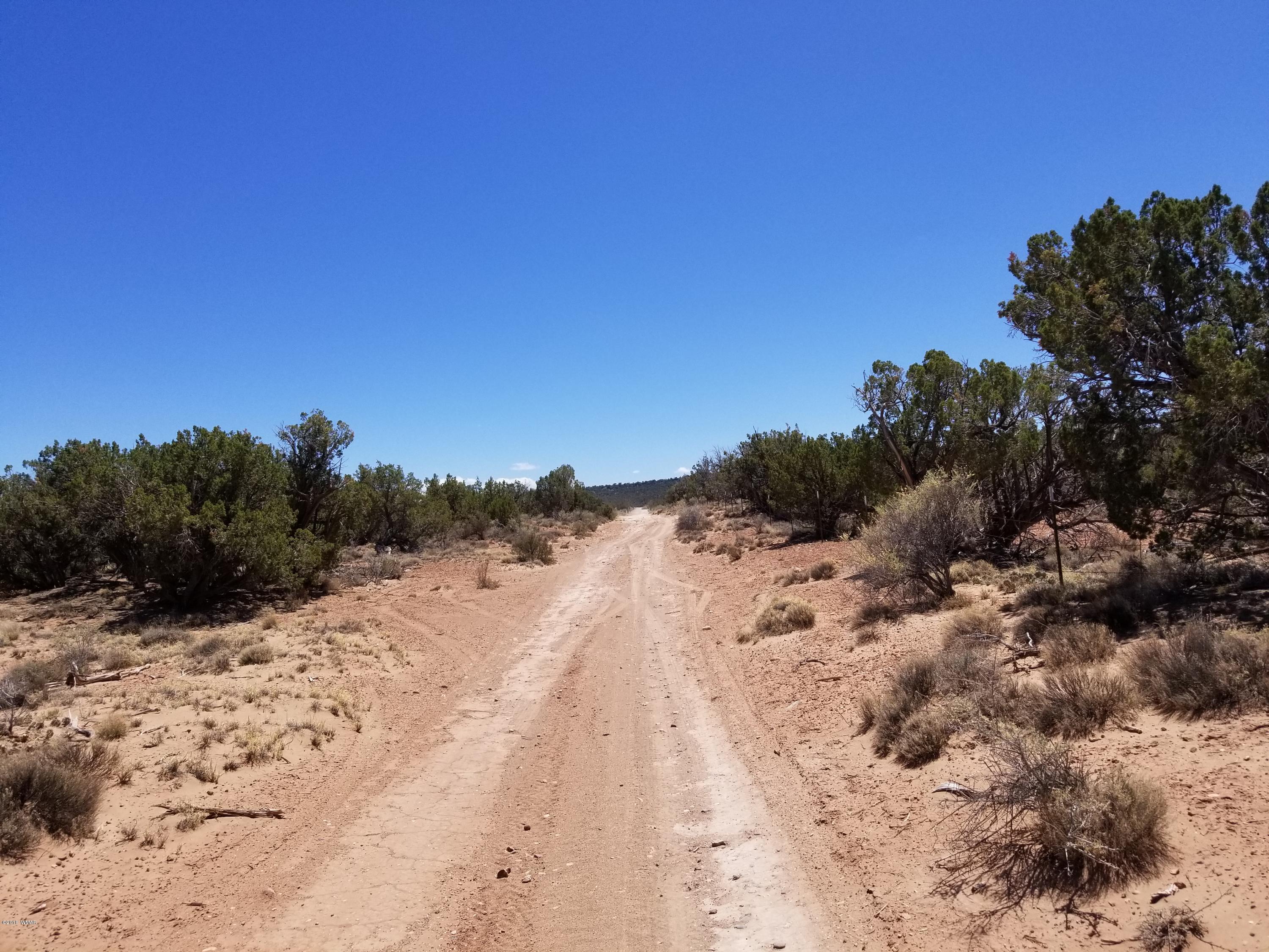 4135-4139 Juniper Road Snowflake, AZ 85937 - Photo 6 of 12