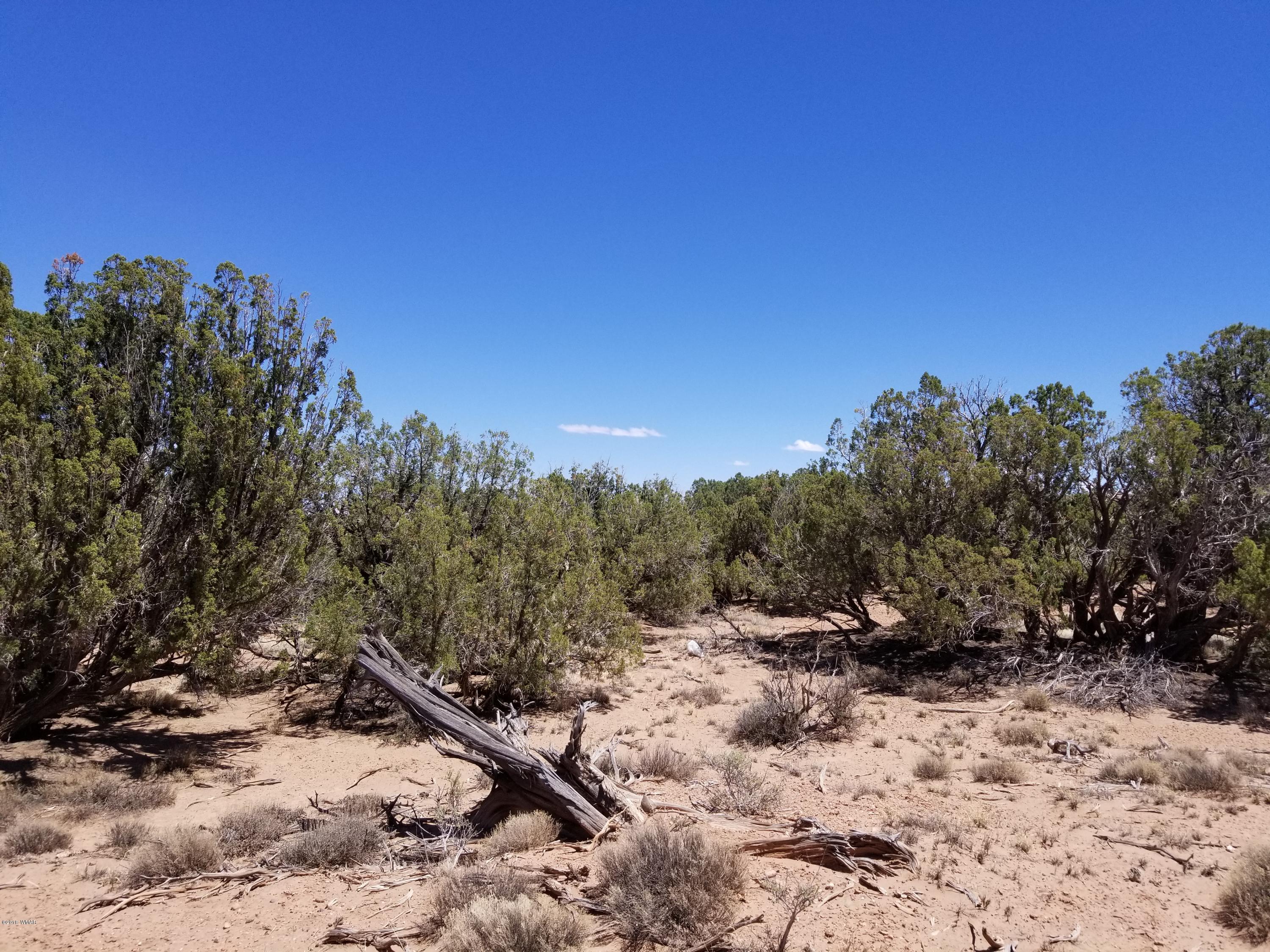 4135-4139 Juniper Road Snowflake, AZ 85937 - Photo 7 of 12