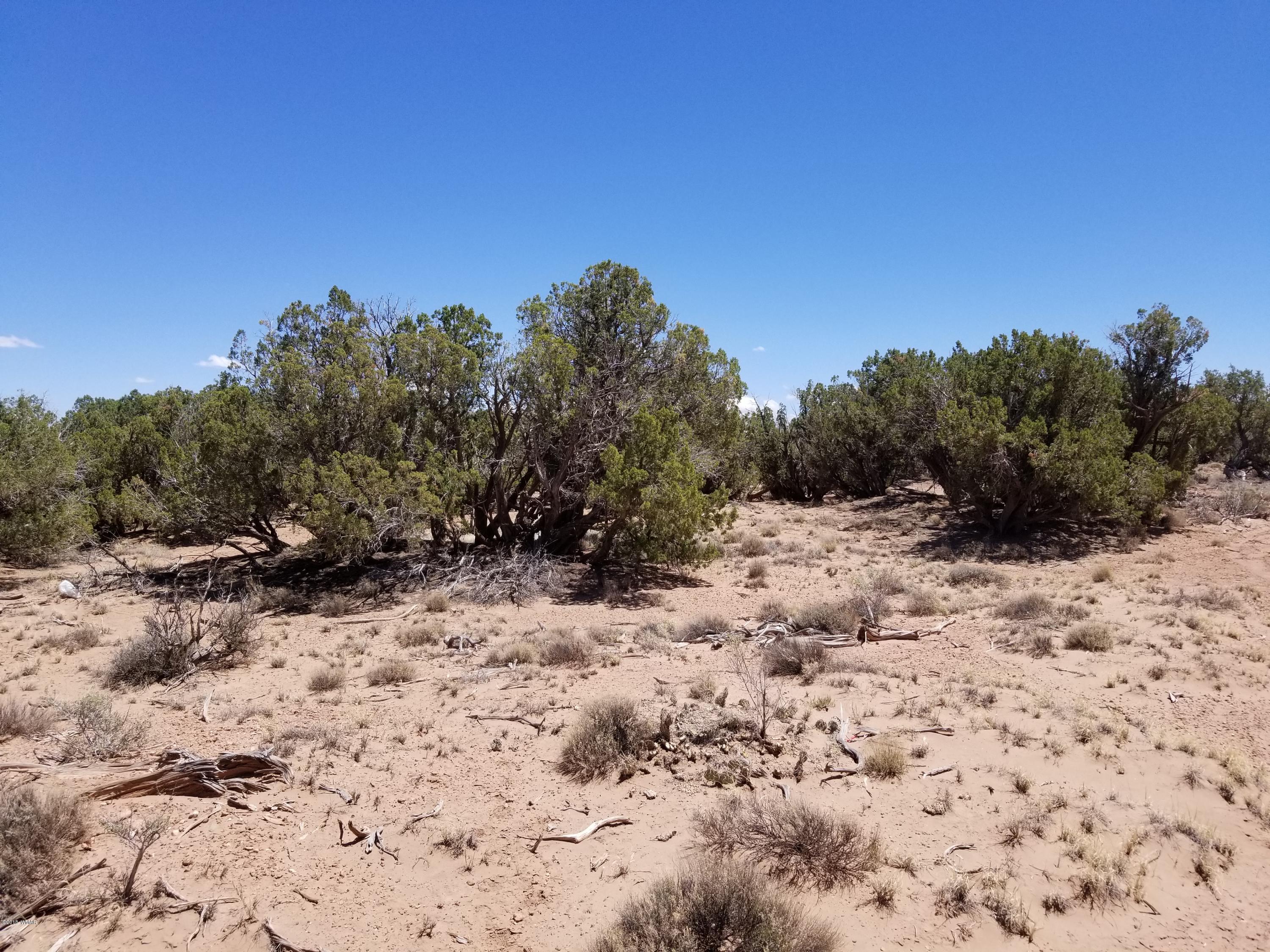 4135-4139 Juniper Road Snowflake, AZ 85937 - Photo 8 of 12