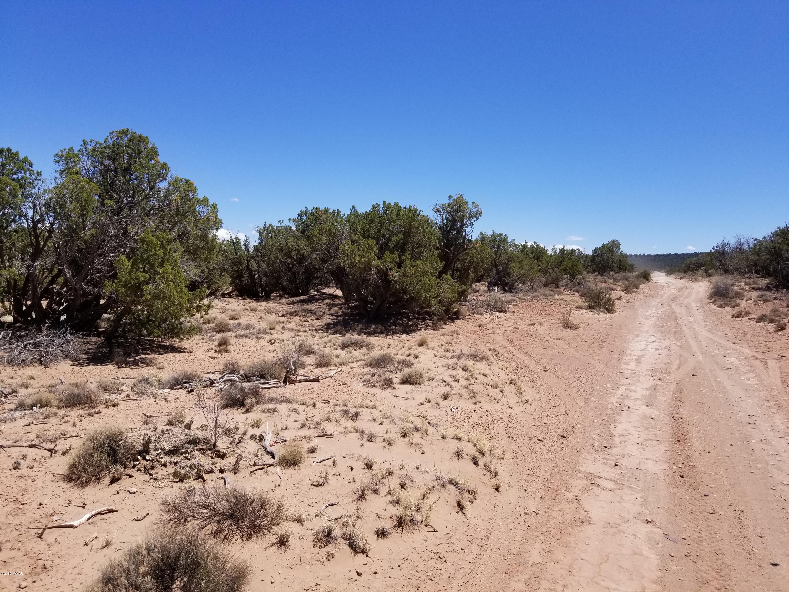 4135-4139 Juniper Road Snowflake, AZ 85937 - Photo 9 of 12