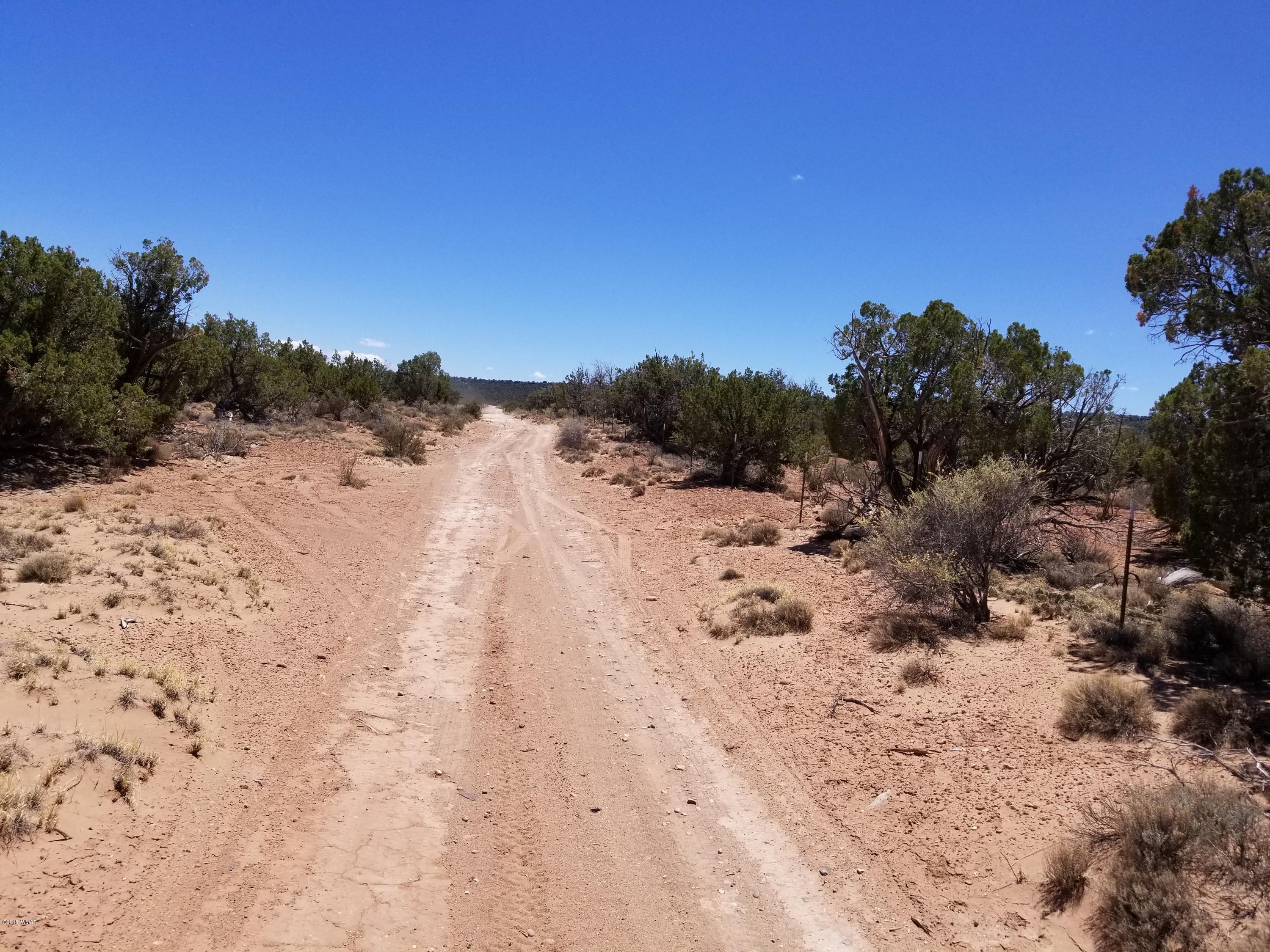 4135-4139 Juniper Road Snowflake, AZ 85937 - Photo 10 of 12