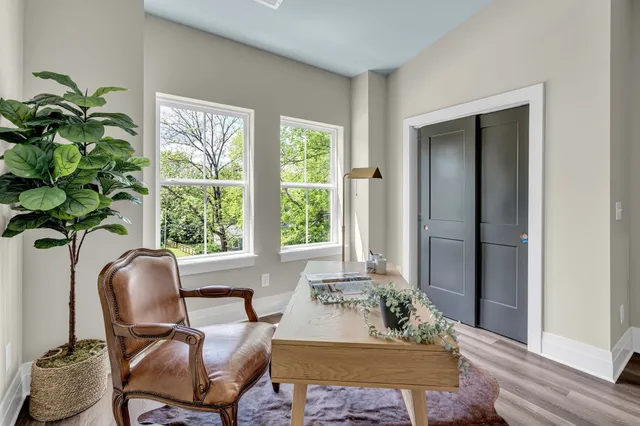 a living room with furniture and a potted plant