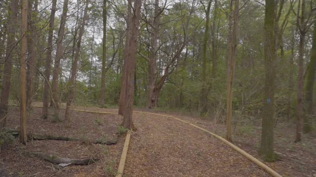 a view of a tennis court