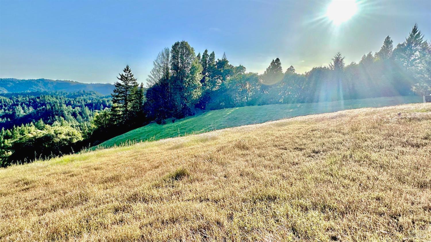 5000 Mohrhardt Ridge Road Cazadero, CA 95421 - Photo 63 of 70