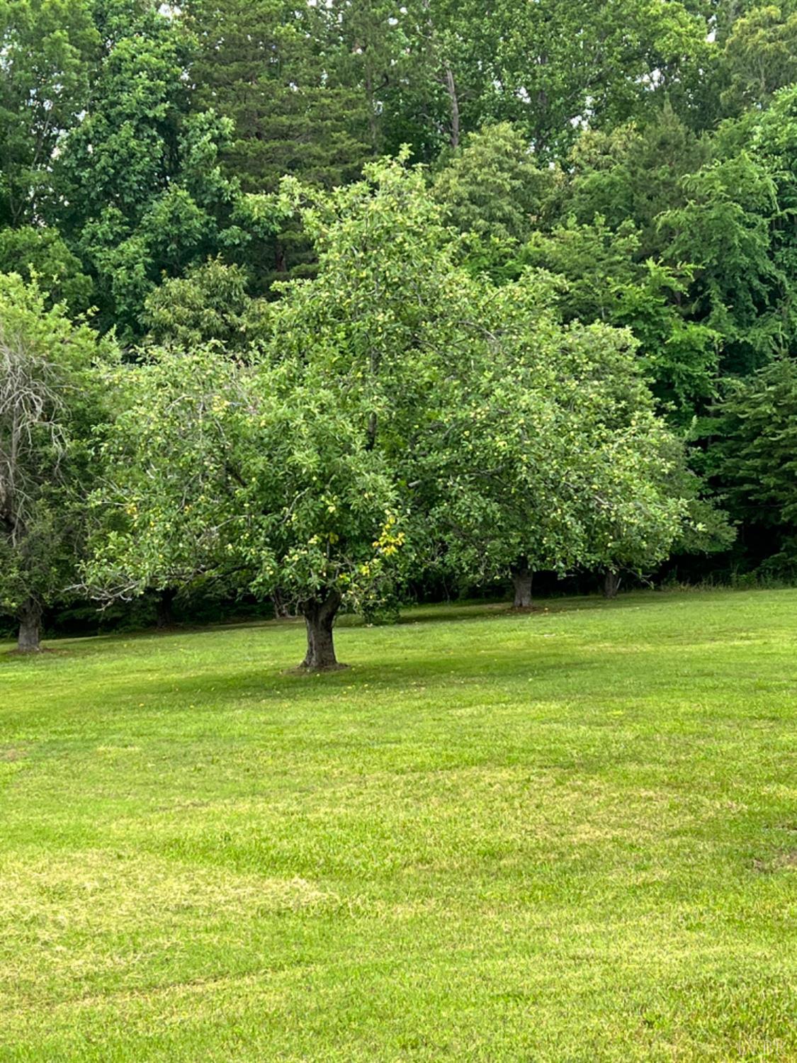 11020 East Gretna Road Gretna, VA 24557 - Photo 29 of 34 Gallery Image 29