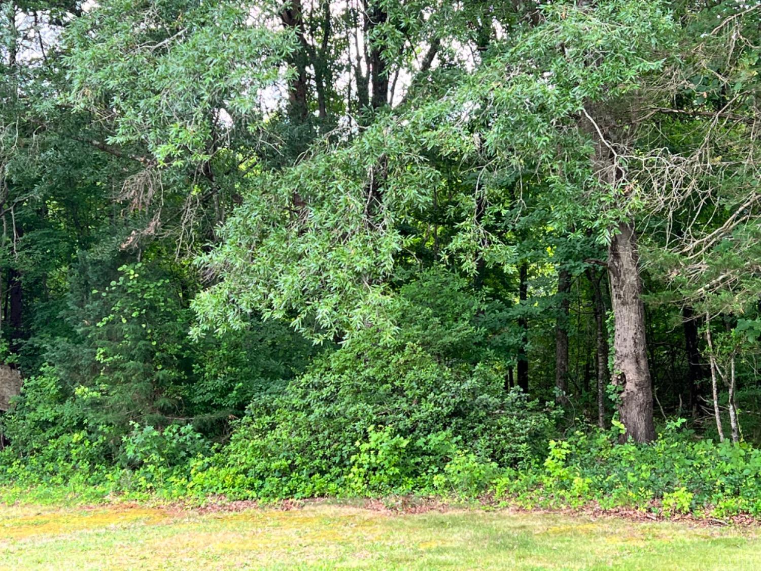 11020 East Gretna Road Gretna, VA 24557 - Photo 30 of 34 Gallery Image 30