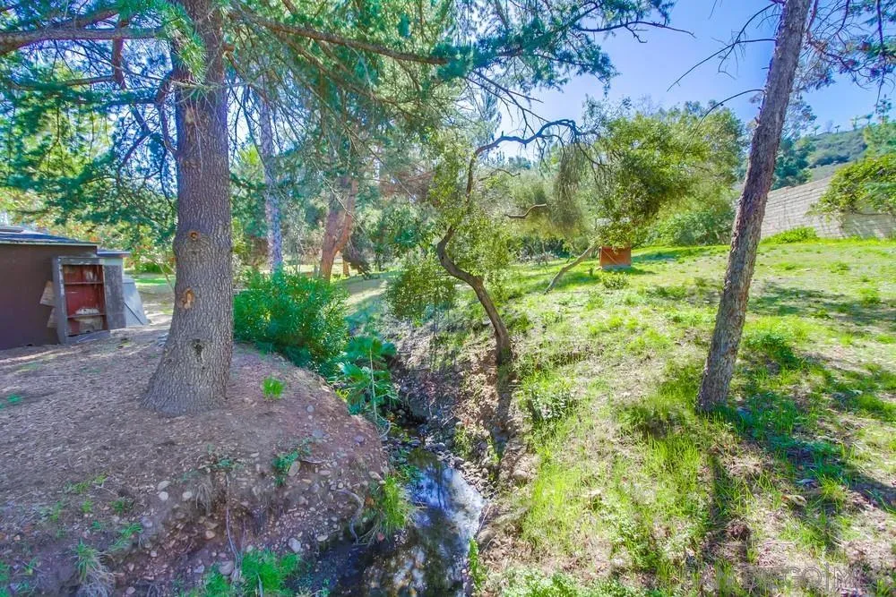 11674 Creek Road Poway, CA 92064 - Photo 59 of 70 a view of a yard with plants and large trees