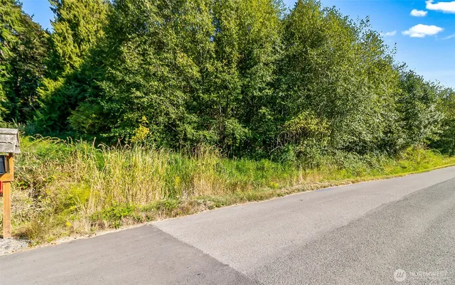 a view of a garden with plants
