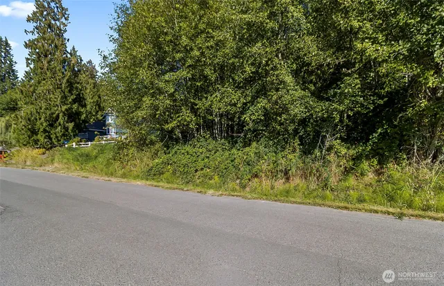 a view of a yard with a tree