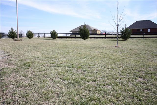 4800 Somerville Road Cross Plains, TN 37049 - Photo 9 of 13