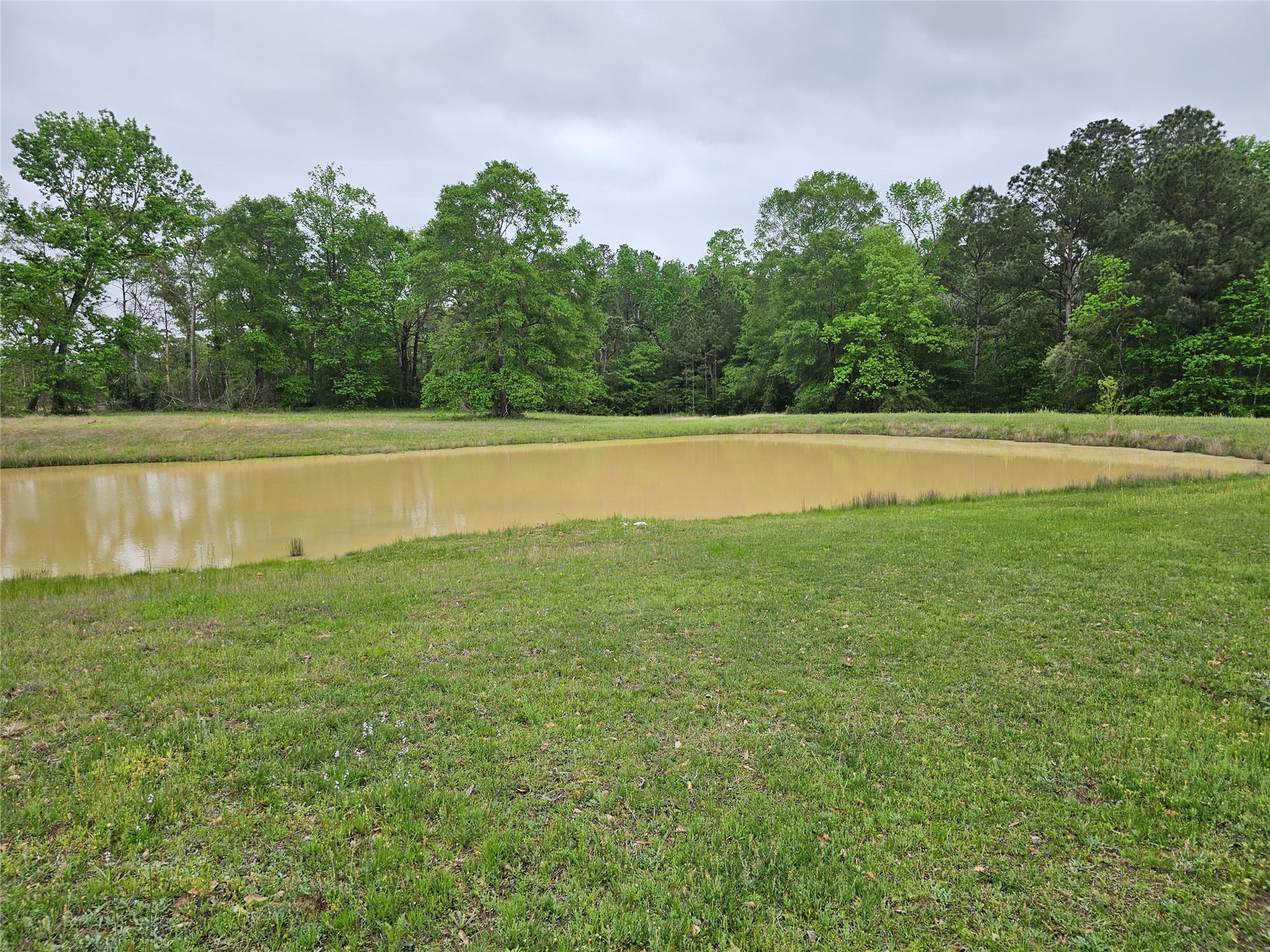 15784 Tree Monkey Road Conroe, TX 77303 - Photo 2 of 40
