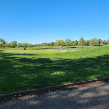 a view of a grassy field with trees