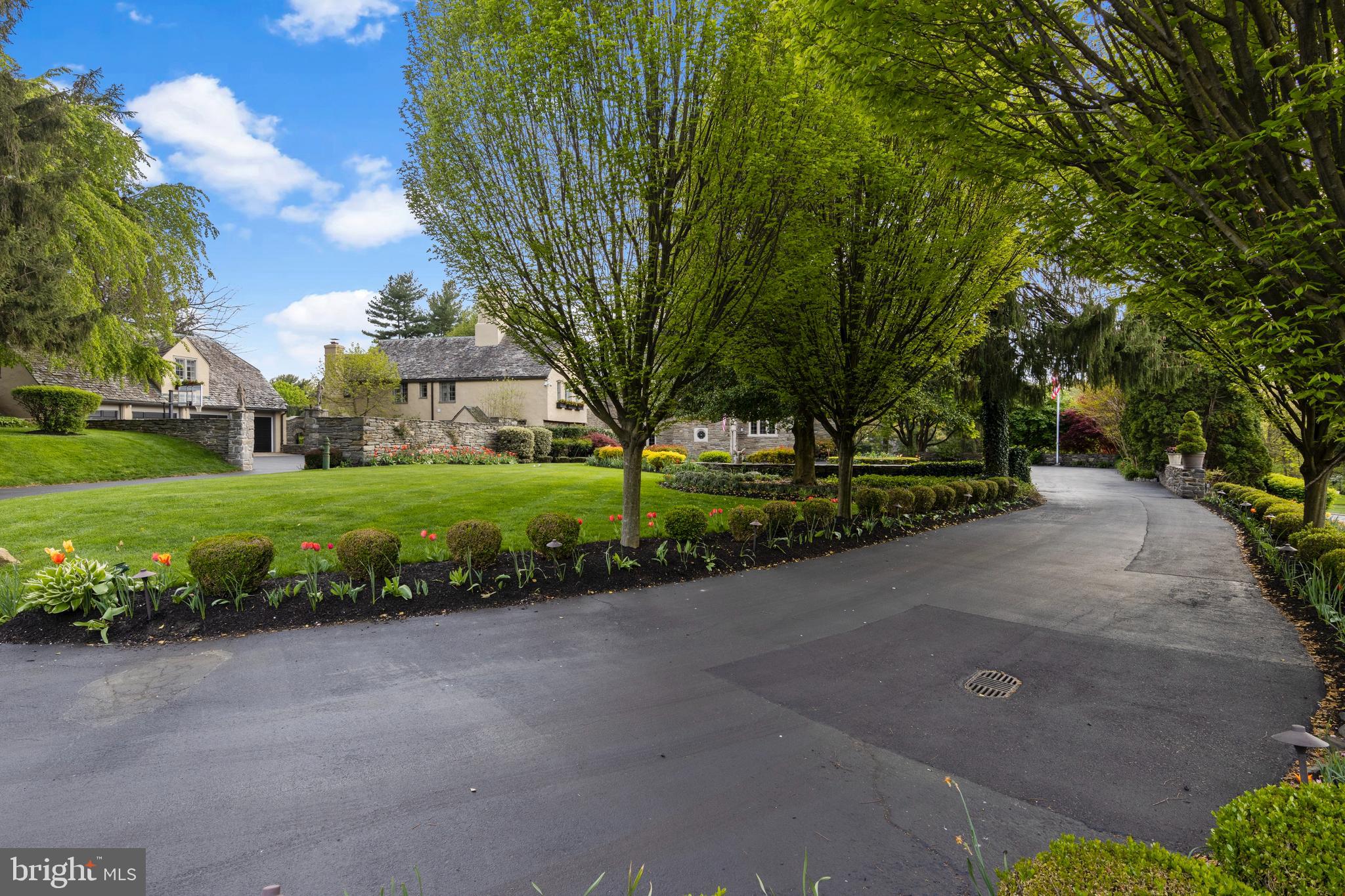 209 Tower Road Villanova, PA 19085 - Photo 101 of 110 Specimen trees line the driveway