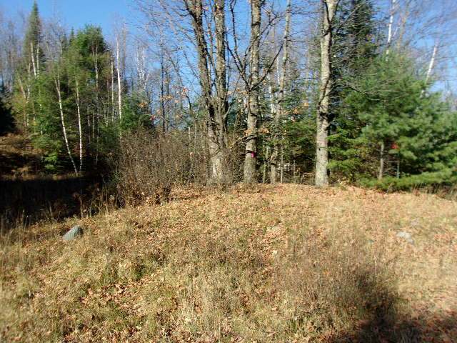4557 Deadwood Road Park Falls, WI 54552 - Photo 9 of 16 Gallery Image 9