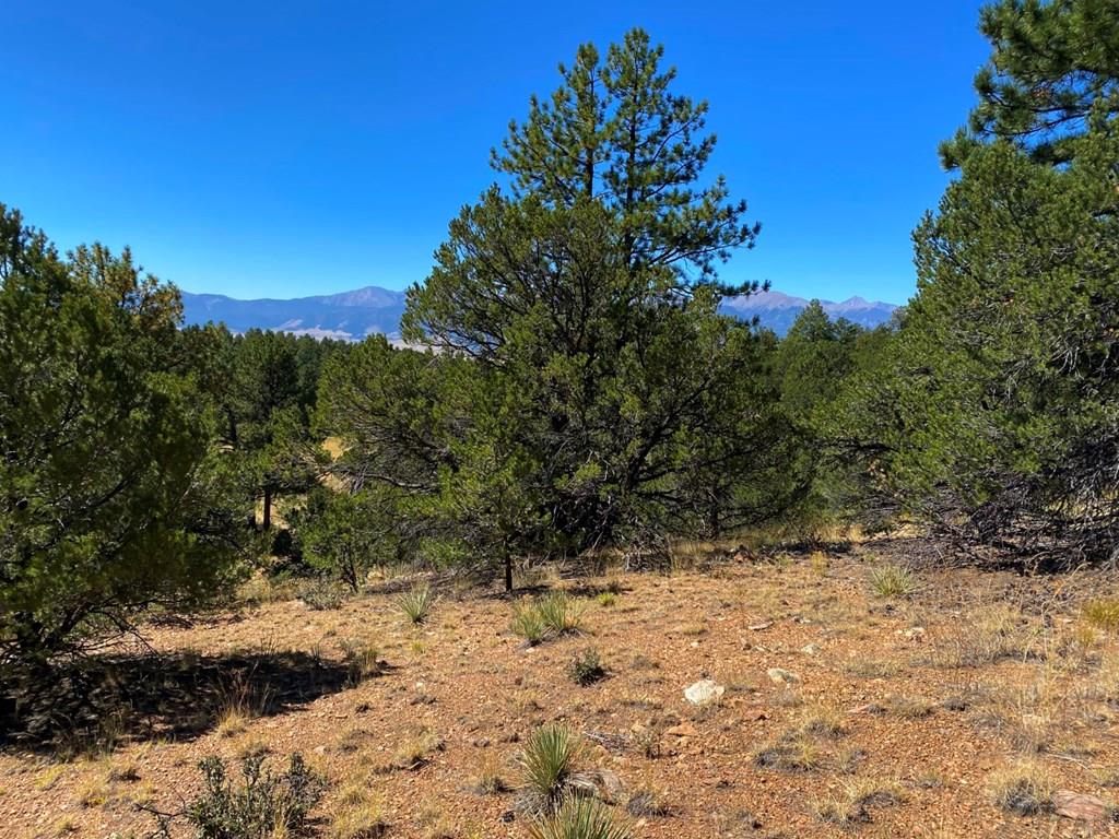 Tbd Manden Road Westcliffe, CO 81252 - Photo 9 of 10