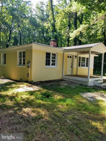 a view of a backyard with plants and large tree