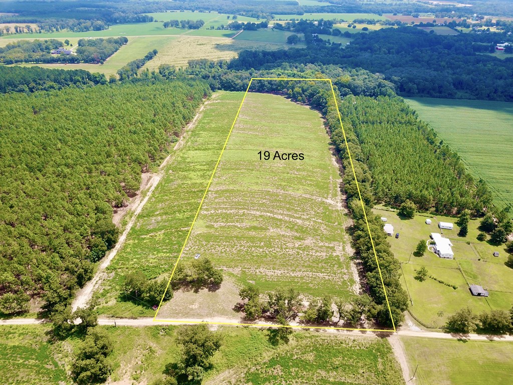 19-acres Summer Road Slocomb, AL 36375 - Photo 2 of 22