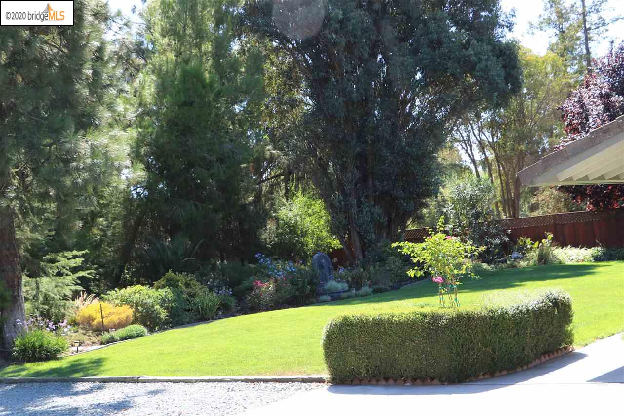 3191 Doyle Road Oakley, CA 94561 - Photo 5 of 31
