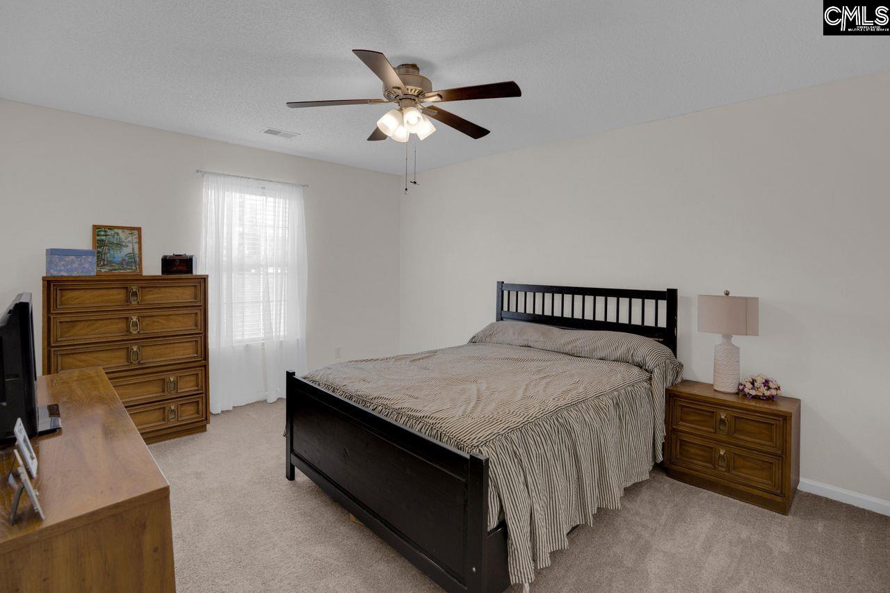 520 Blue Lake Drive Lexington, SC 29072 - Photo 17 of 24