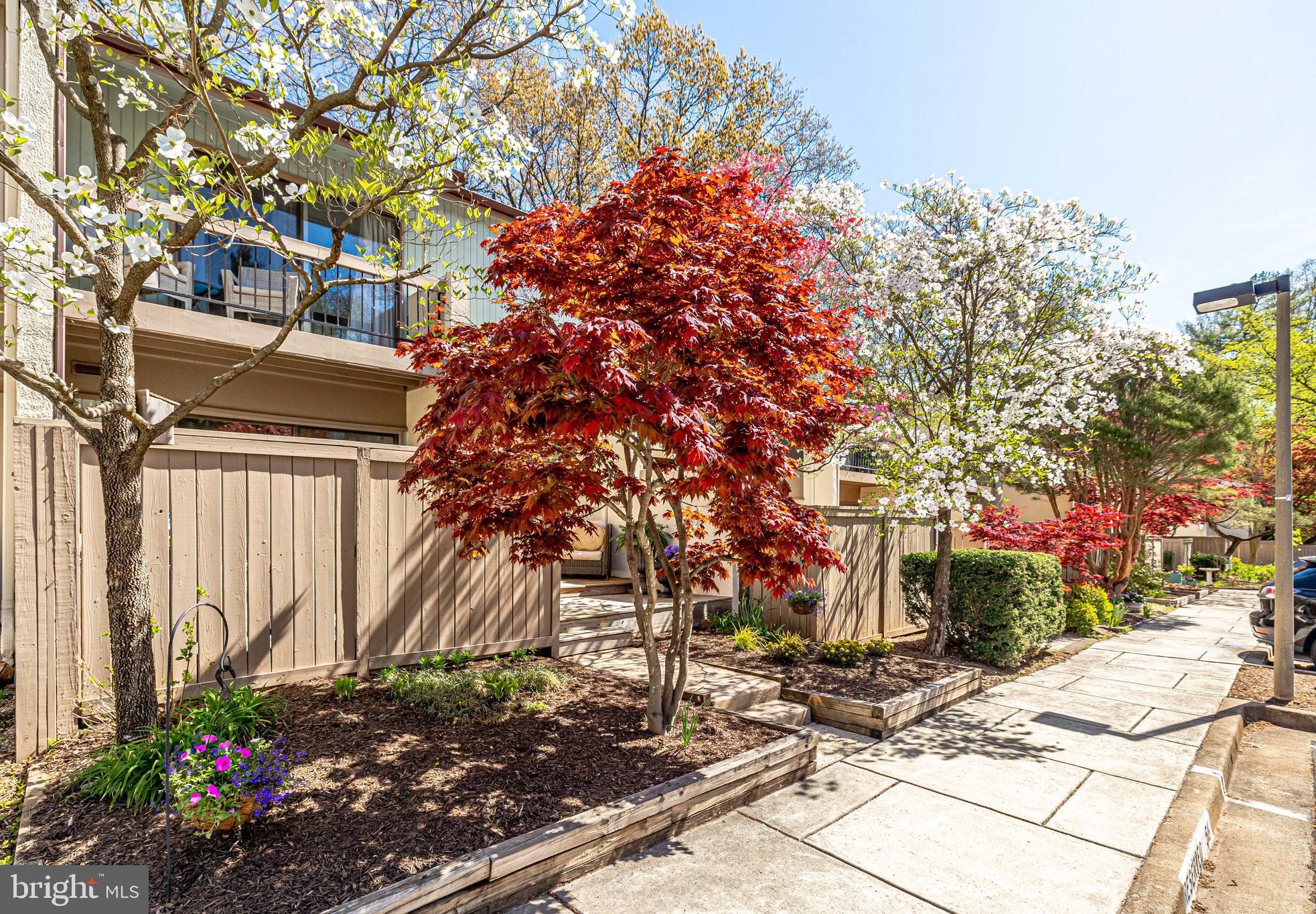 11716 Newbridge Court Reston, VA 20191 - Photo 2 of 79 Beautifully Landscaped Entry Yard and Neighborhood