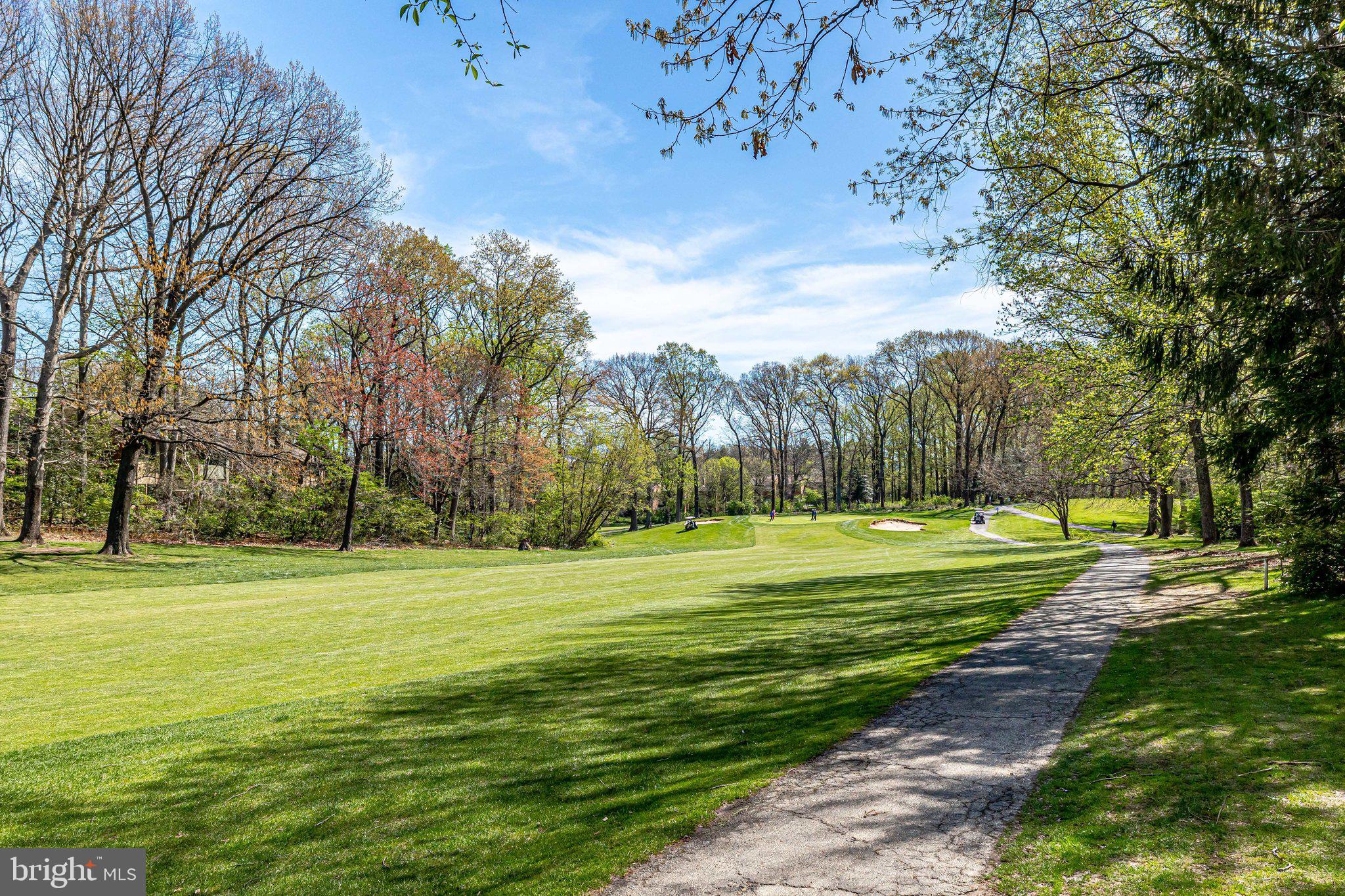 11716 Newbridge Court Reston, VA 20191 - Photo 32 of 79 and the beautiful natural setting of this home