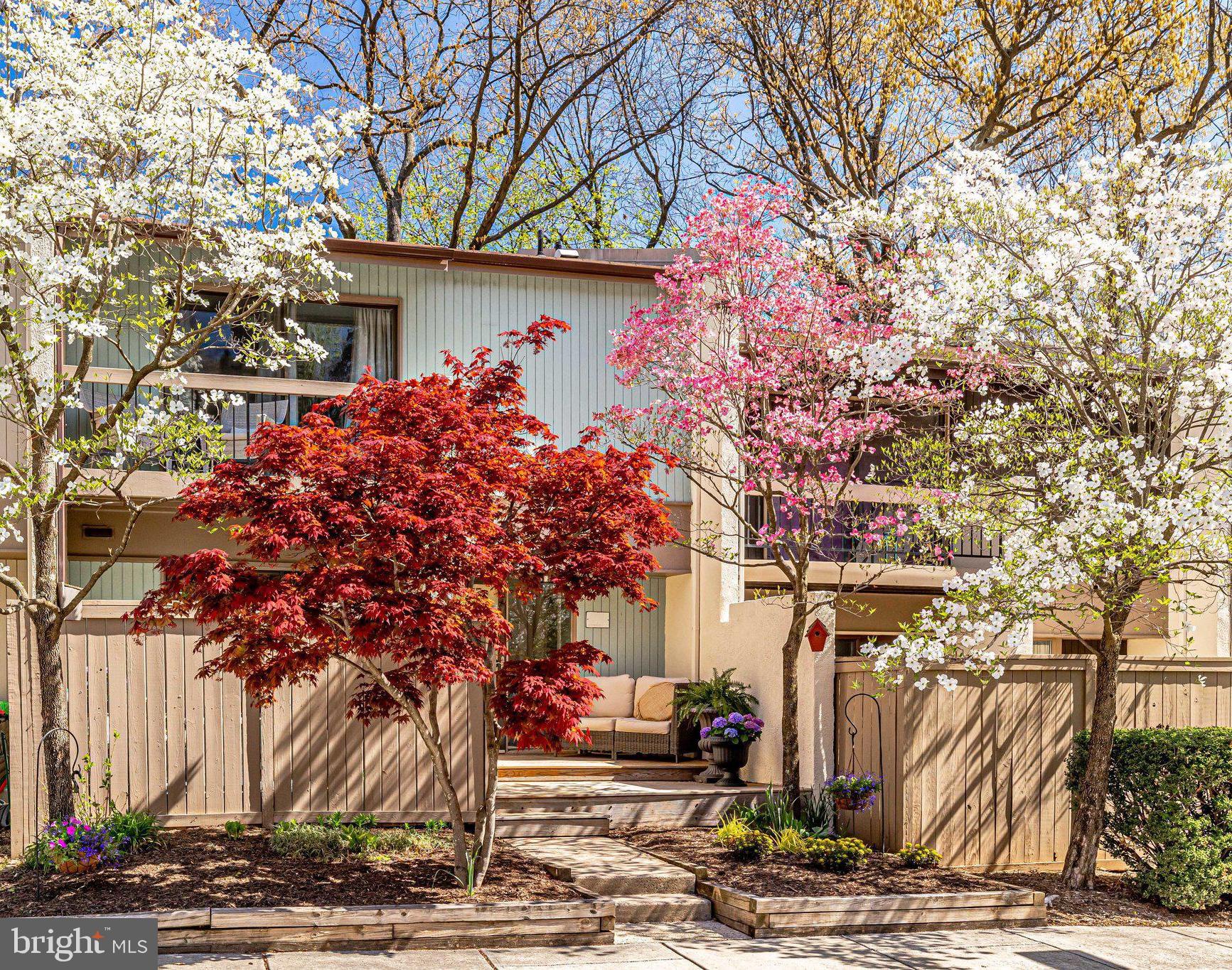 11716 Newbridge Court Reston, VA 20191 - Photo 6 of 79 Year-Round Plantings... Spring Glory!