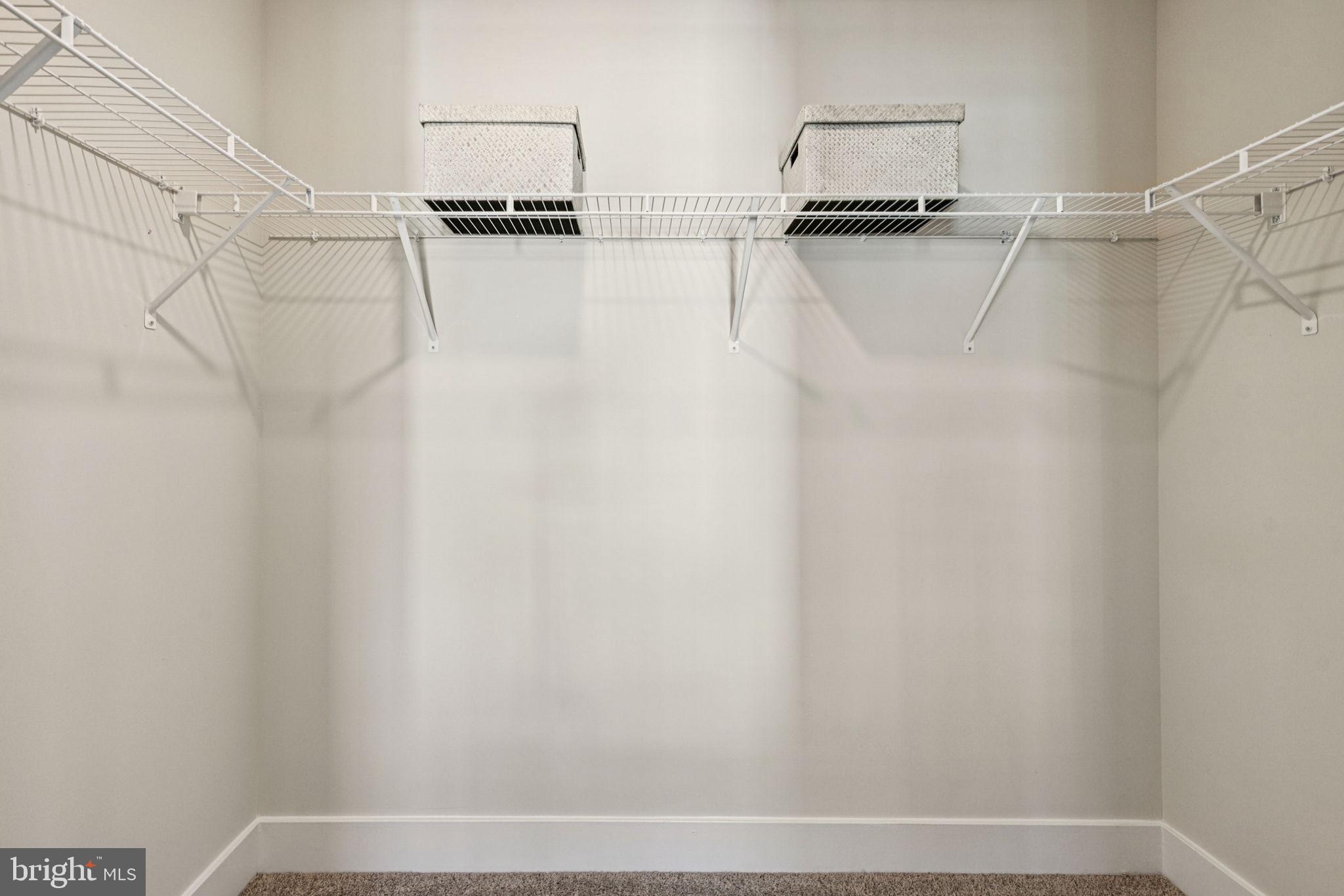 1818 Blythe Way Winchester, VA 22601 - Photo 37 of 45 a view of walk in closet with empty racks