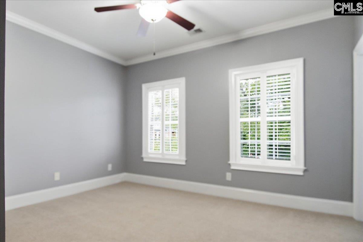 805 Boatswain Loop Chapin, SC 29036 - Photo 18 of 30