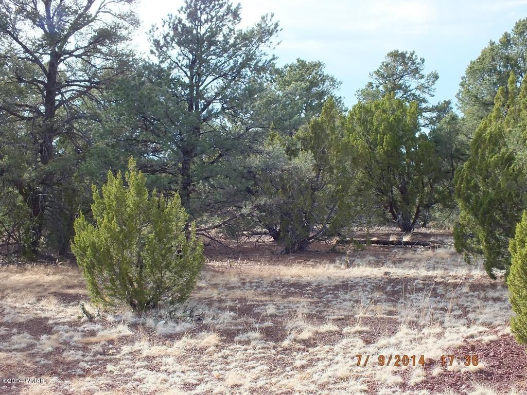Lot 5 County Road Concho, AZ 85924 - Photo 1 of 4