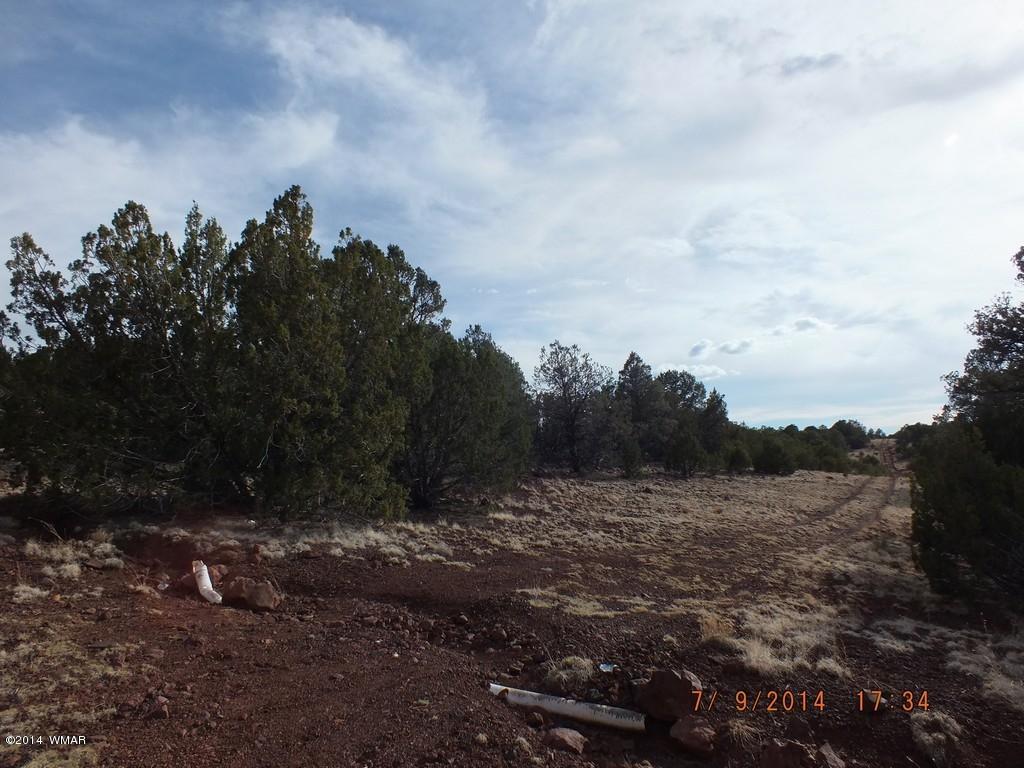 Lot 5 County Road Concho, AZ 85924 - Photo 2 of 4