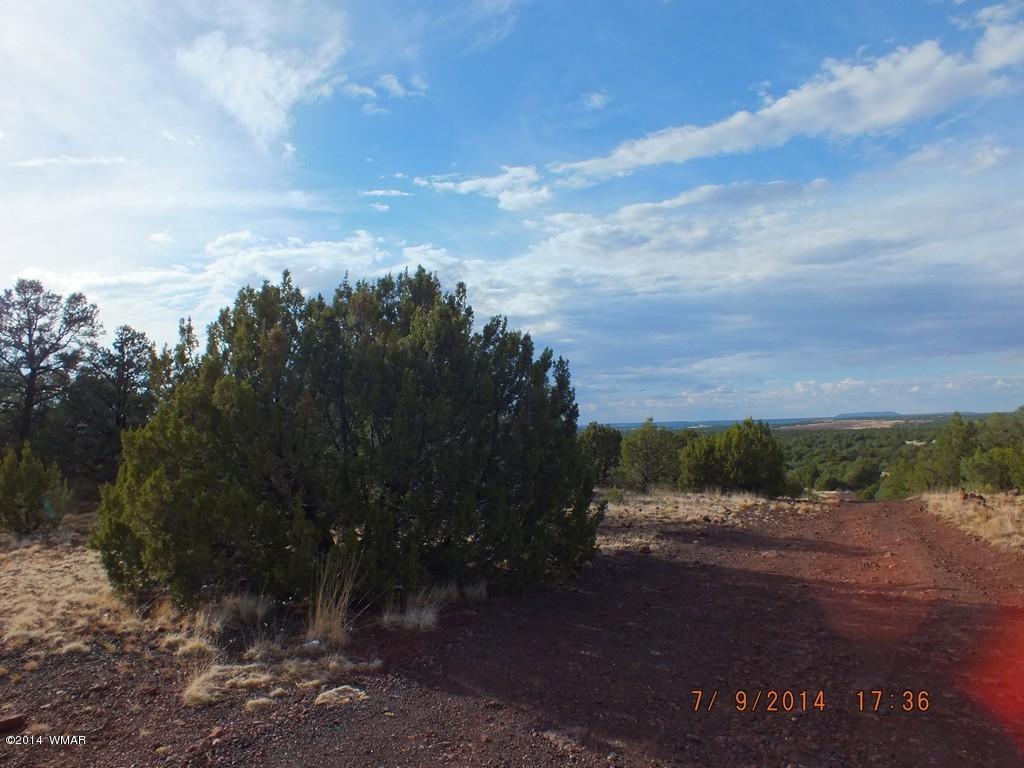 Lot 5 County Road Concho, AZ 85924 - Photo 3 of 4