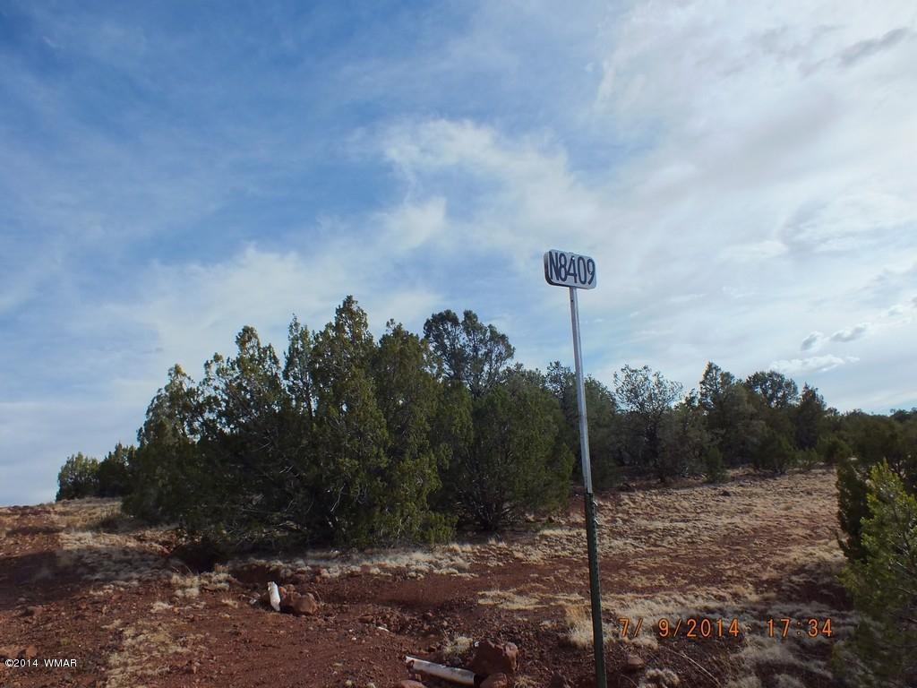 Lot 5 County Road Concho, AZ 85924 - Photo 4 of 4