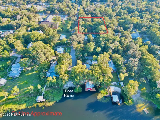 a picture of flowers