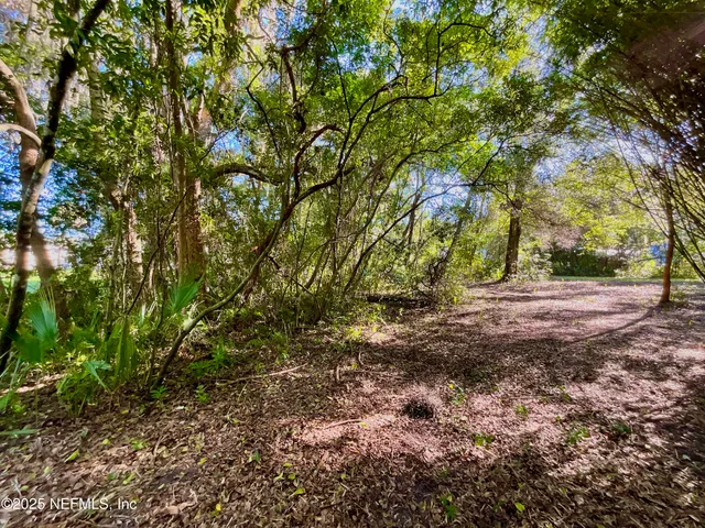 a view of backyard space
