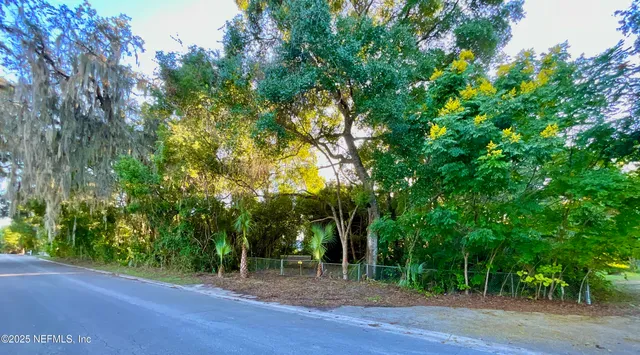 a view of a plants with a tree