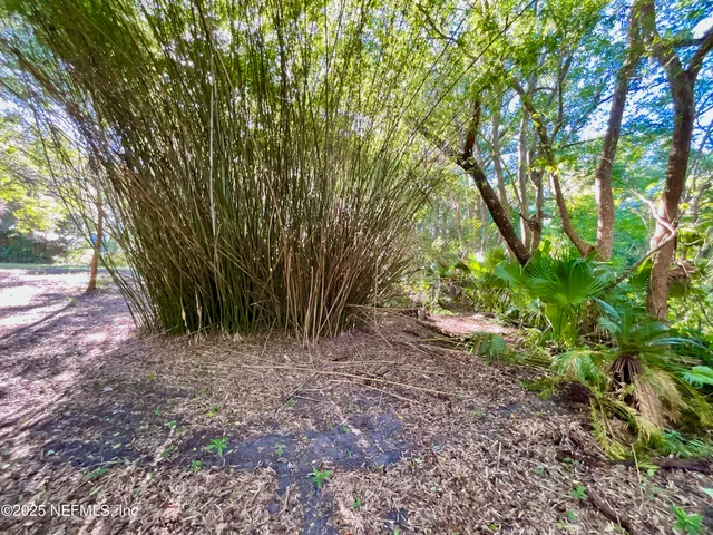 a view of a yard with plants and trees