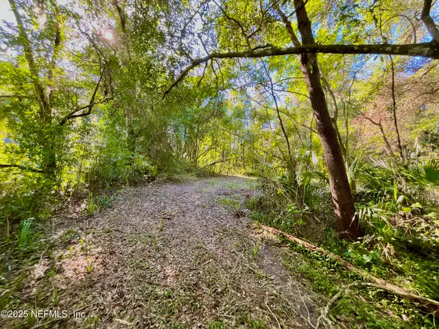 a view of outdoor space and trees