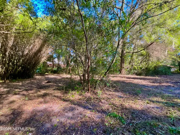a view of backyard with green space