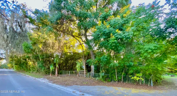 a view of a plants and trees in a yard