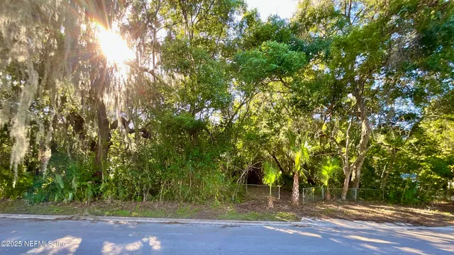 a view of a yard with a tree