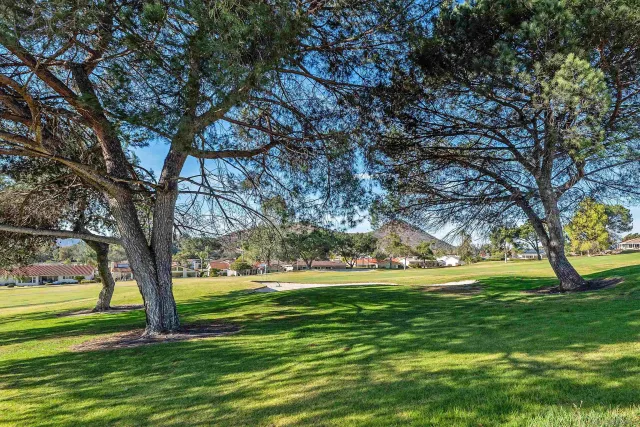 a view of yard with trees