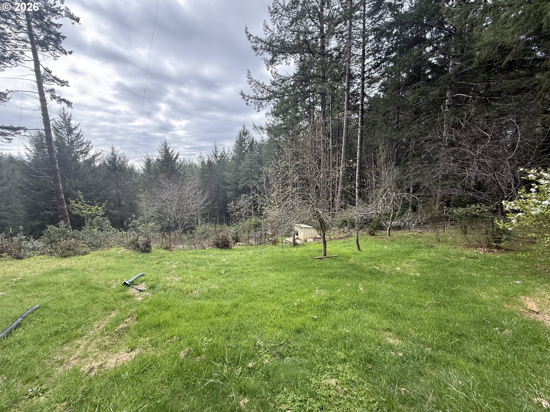 95950 Sundown Road Brookings, OR 97415 - Photo 23 of 26