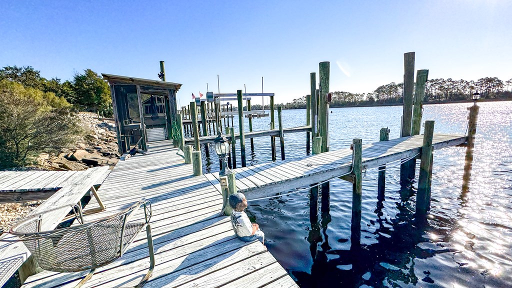 387 River Road Carrabelle, FL 32322 - Photo 19 of 57