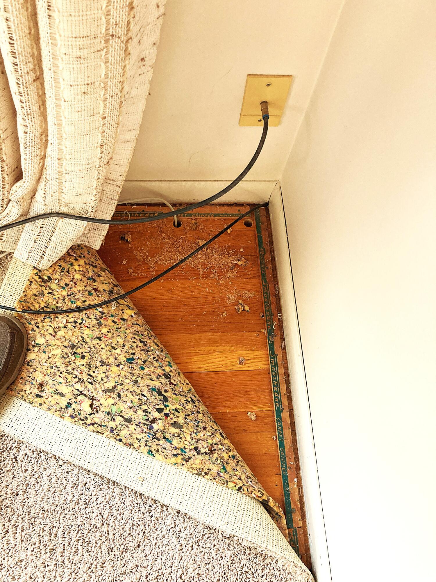 503 West Gilson Street Edmore, MI 48829 - Photo 14 of 52 Hardwood Floors