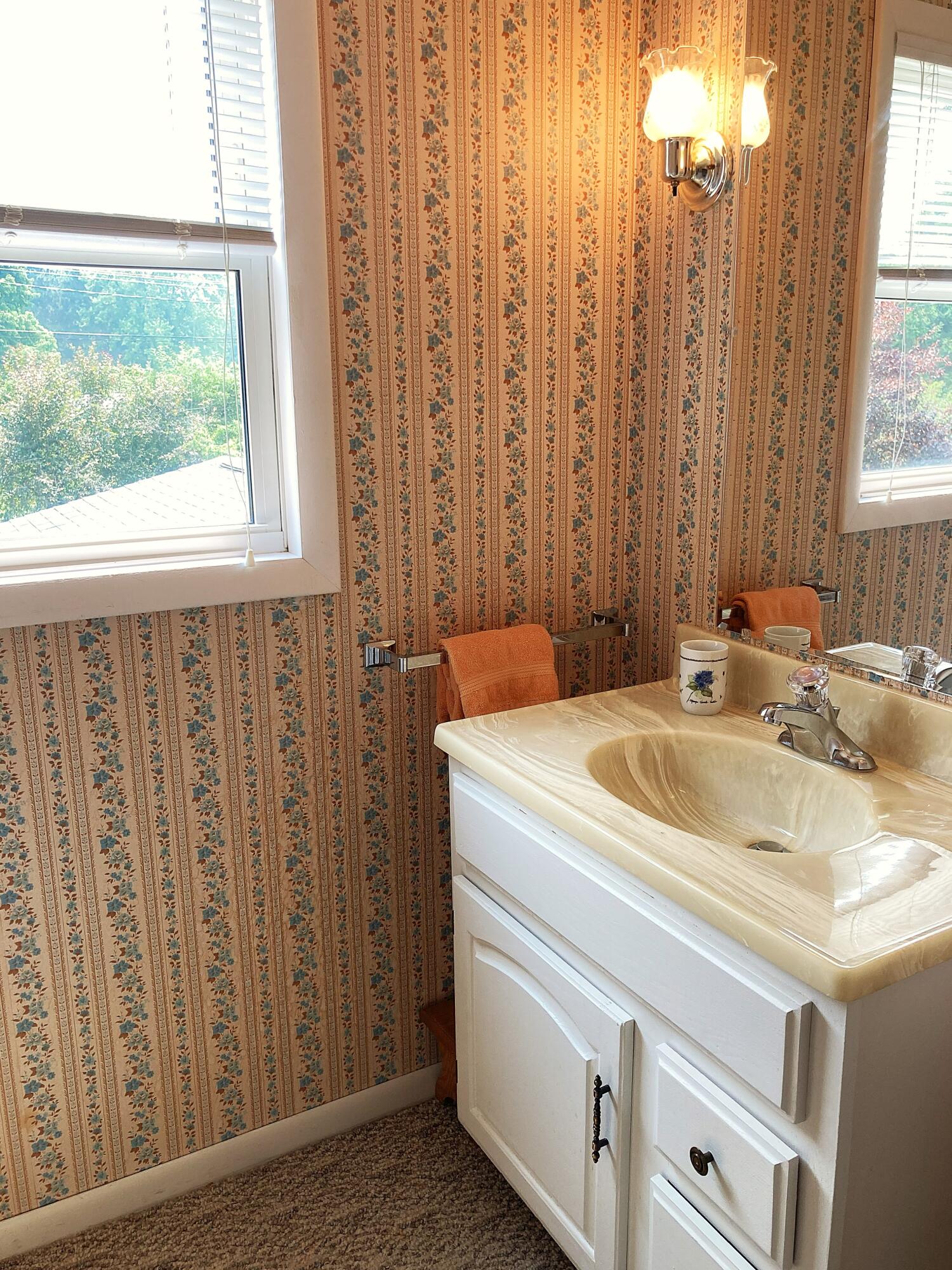 503 West Gilson Street Edmore, MI 48829 - Photo 30 of 52 Upstairs 1/2 Bath