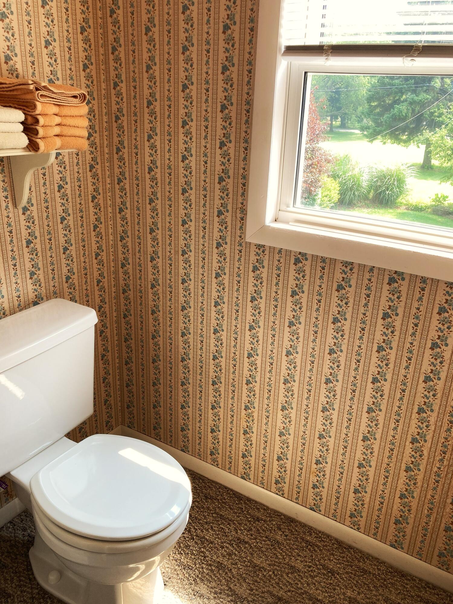 503 West Gilson Street Edmore, MI 48829 - Photo 31 of 52 Upstairs 1/2 Bath